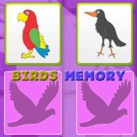 Kids Memory Game - Birds