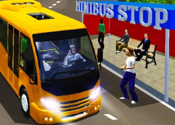 City Minibus Driver
