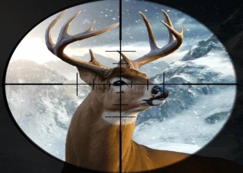 Hunter 3D