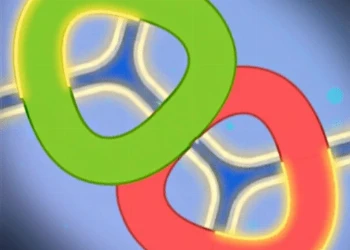 Puzzle - LINES AND KNOTS 1