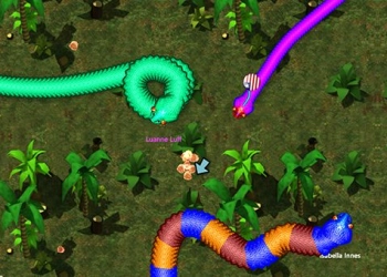 Real Snakes