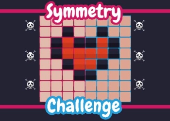 Symmetry Challege